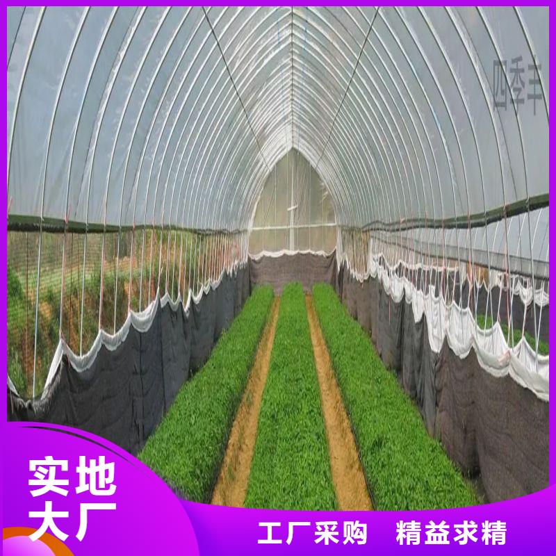 大棚管2,大棚管源头直供