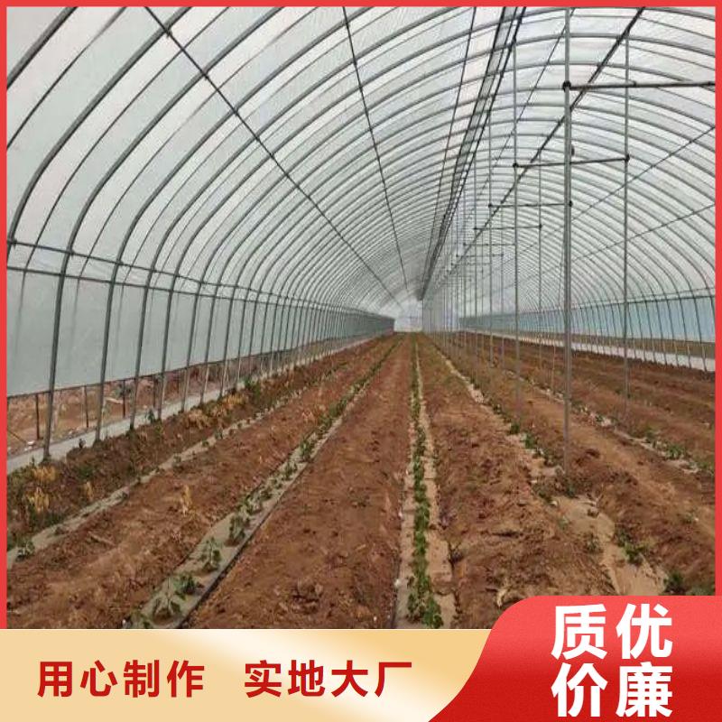 大棚管2【椭圆管温室大棚】实时报价