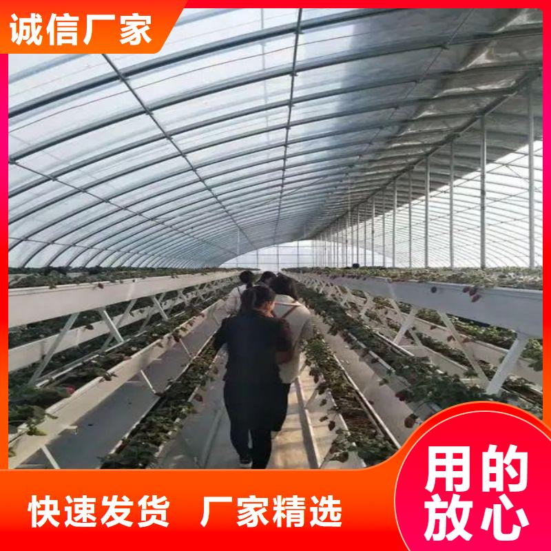 【大棚管2温室大棚源头实体厂商】