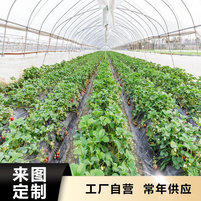 大棚管2,温室大棚管产地直供