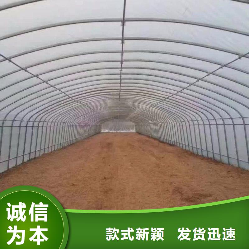 大棚管2_大棚管大量现货供应