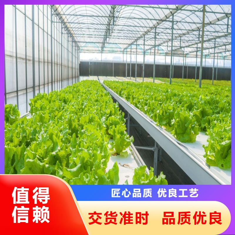 大棚管2【椭圆管温室大棚】实时报价