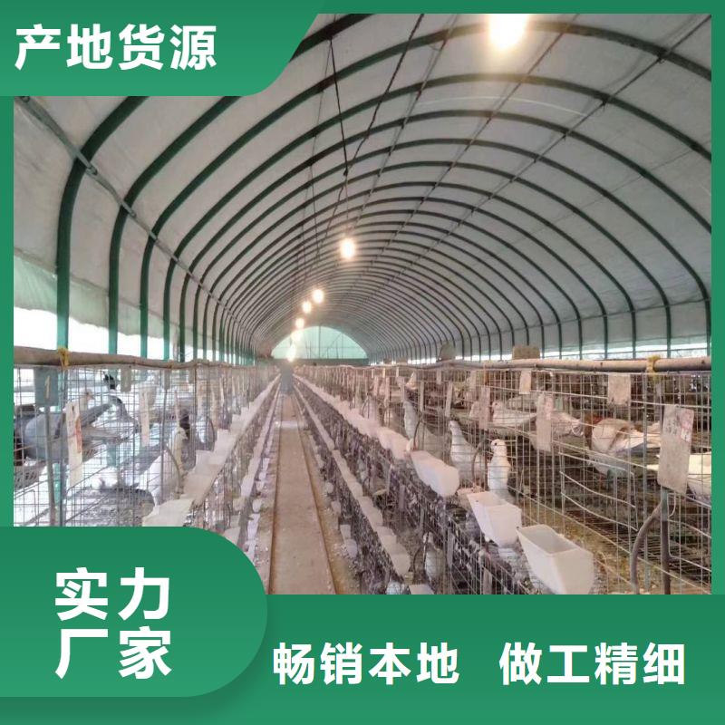 【大棚管2】温室大棚管讲信誉保质量