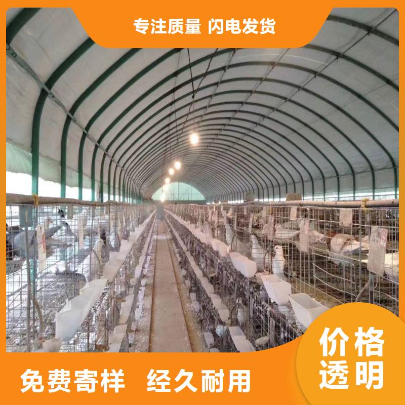 大棚管2【椭圆管温室大棚】实时报价