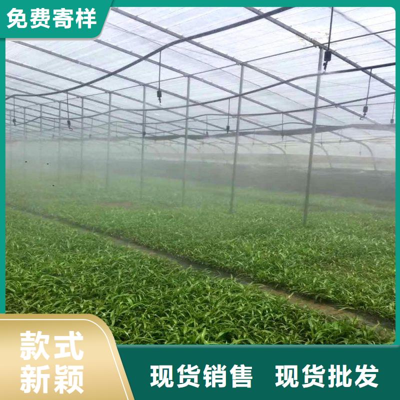 大棚管2_蔬菜温室大棚管品牌大厂家