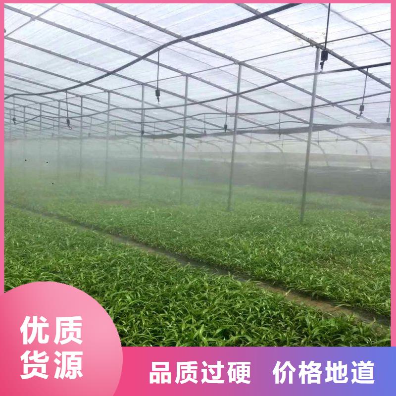 大棚管2镀锌大棚管按需定制真材实料