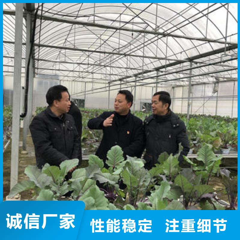 温室大棚管视频-温室大棚管_辽宁省朝阳市市场覆盖建平|北票|鞍山|丹东|铁岭|盘锦等