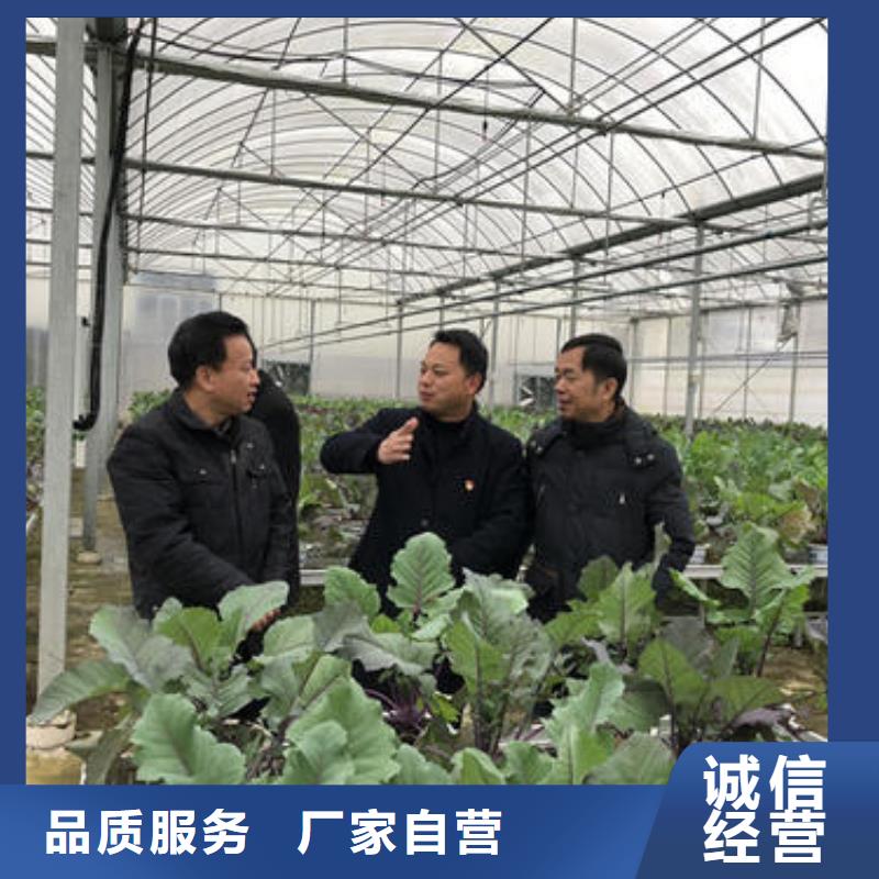 大棚管_镀锌方管免费询价