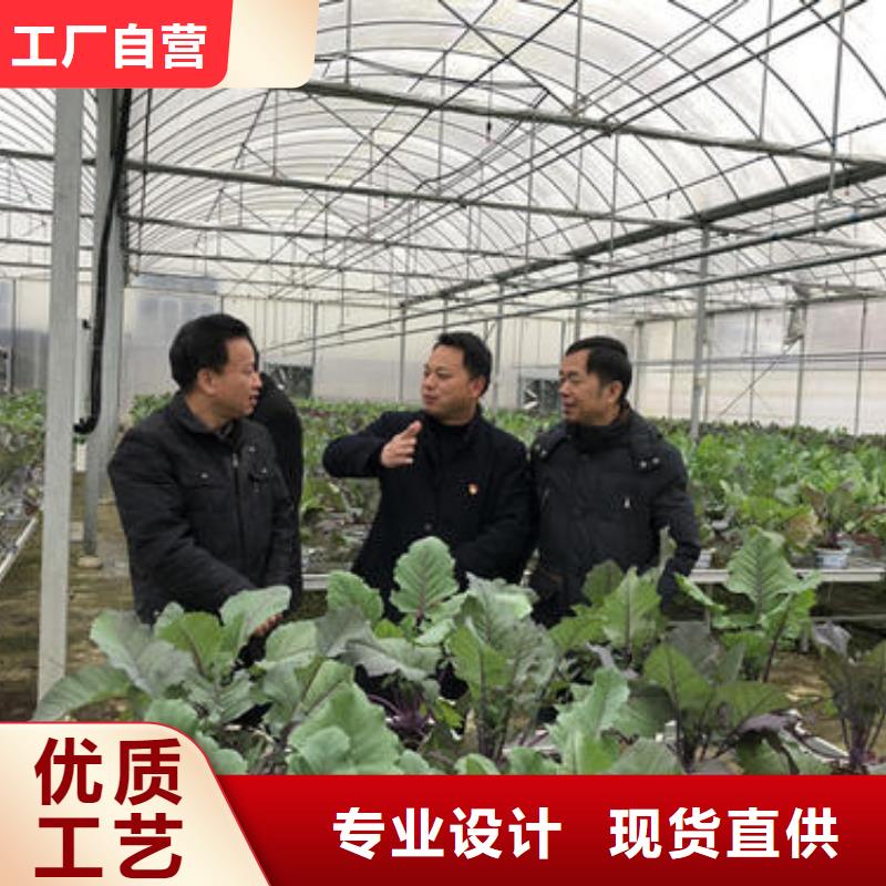 大棚管连栋大棚管满足客户需求