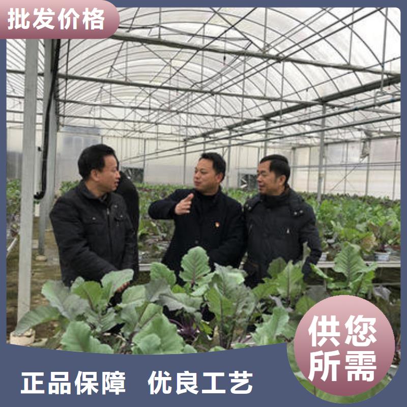 大棚管连栋大棚管从源头保证品质