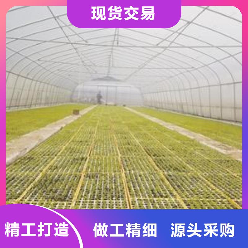 大棚管镀锌方管今日价格
