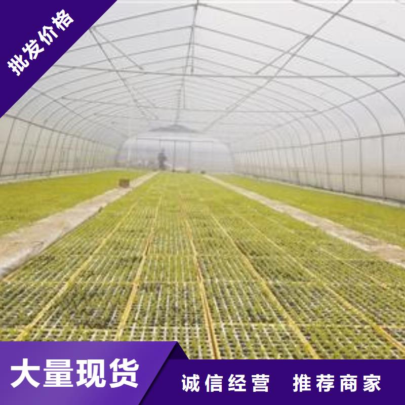 大棚管,温室大棚管优质材料厂家直销