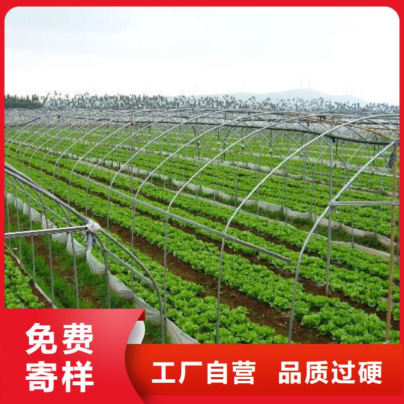 大棚管铝管厂家供应