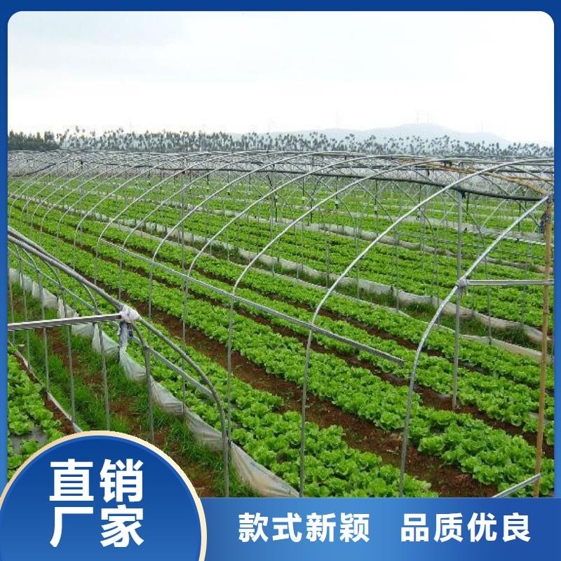 大棚管_镀锌方管免费询价