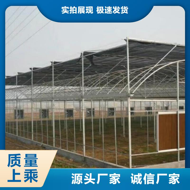 大棚管镀锌大棚管品质服务诚信为本