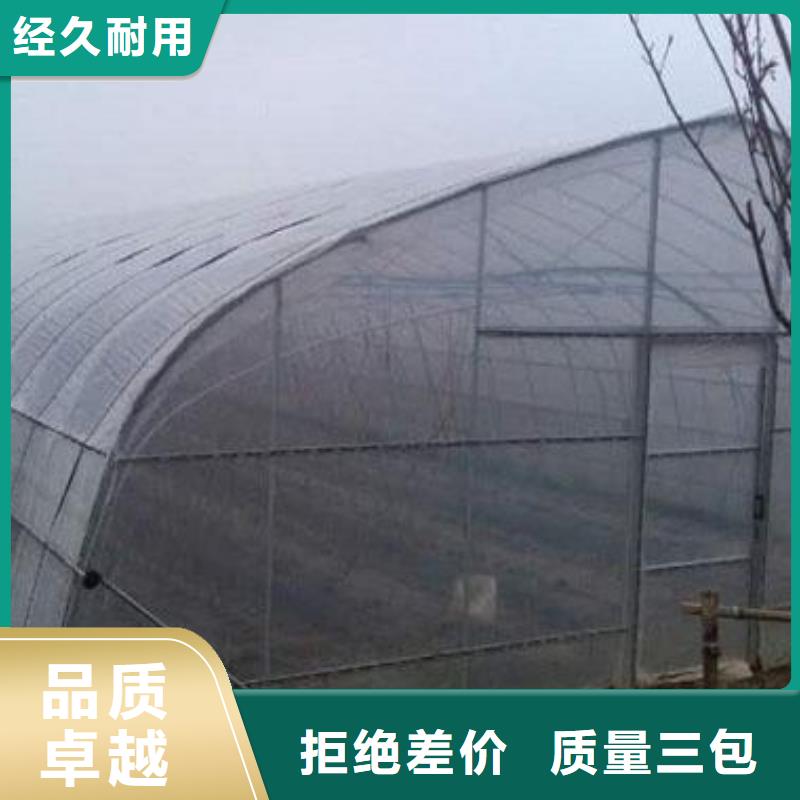  大棚管闪电发货