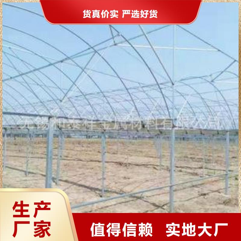 大棚管镀锌大棚管品质服务诚信为本