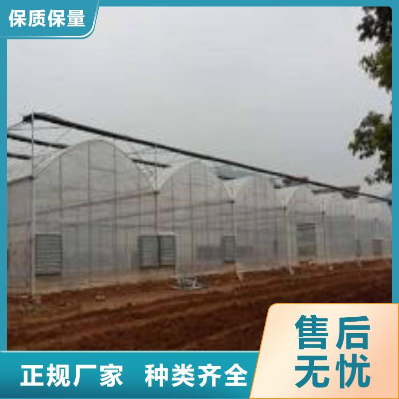 大棚管大棚管大棚管放心购