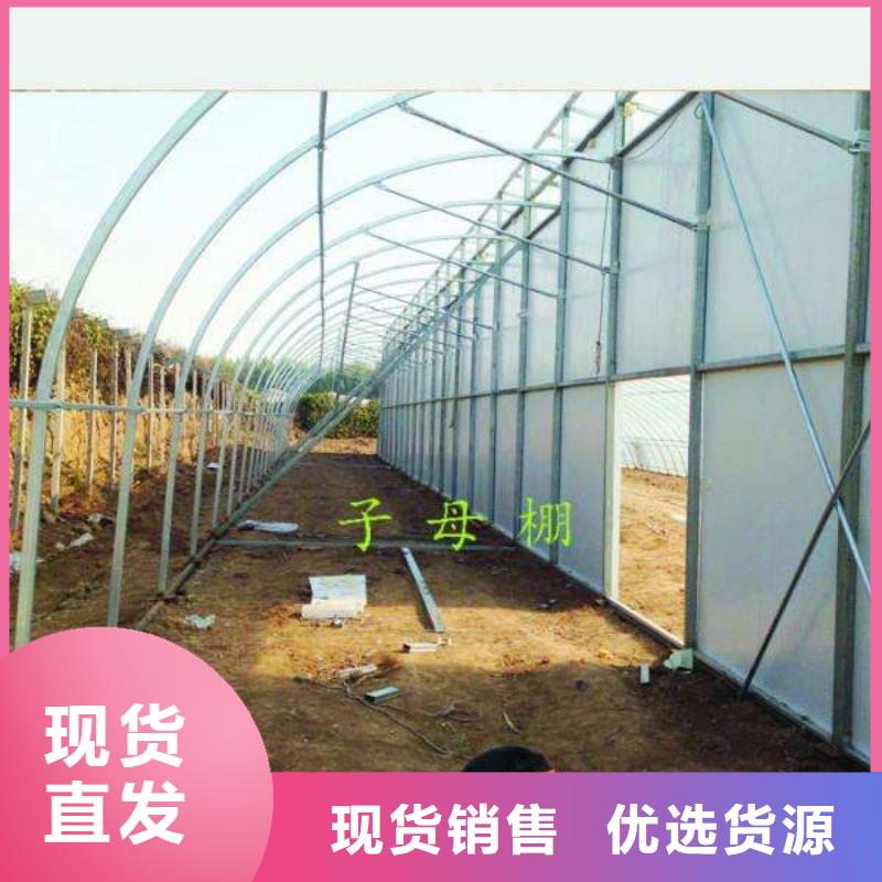 【大棚管镀锌大棚管国标检测放心购买】