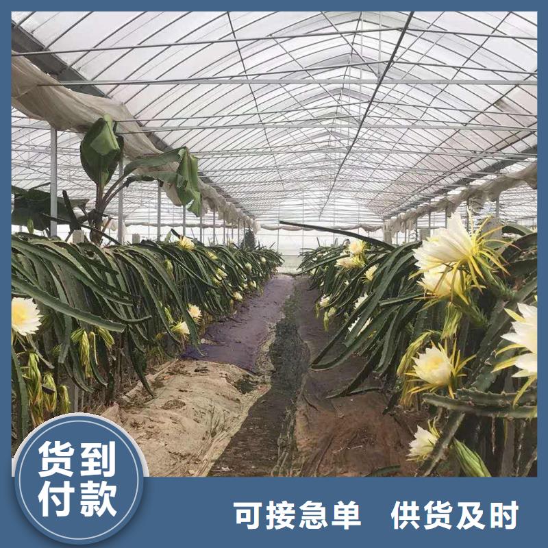 大棚管方矩管大厂生产品质