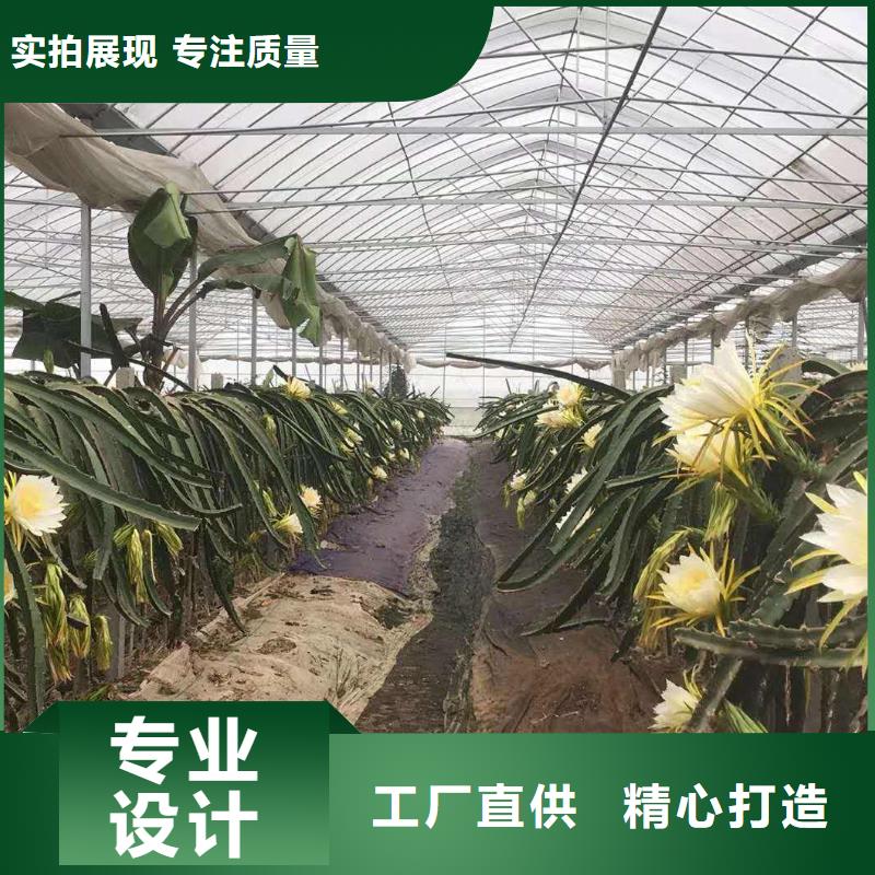 大棚管_大棚管 大棚管细节展示
