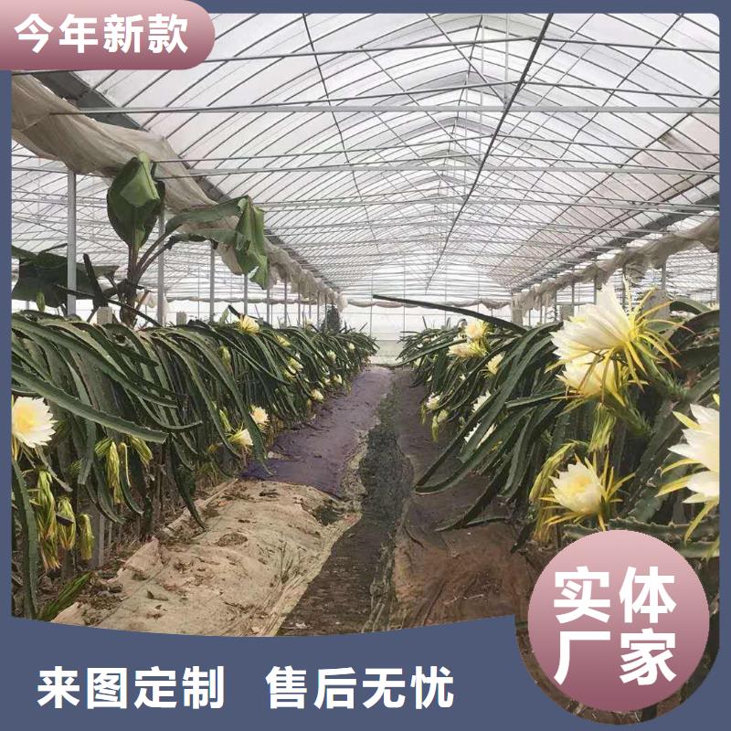 大棚管蔬菜温室大棚管匠心制造