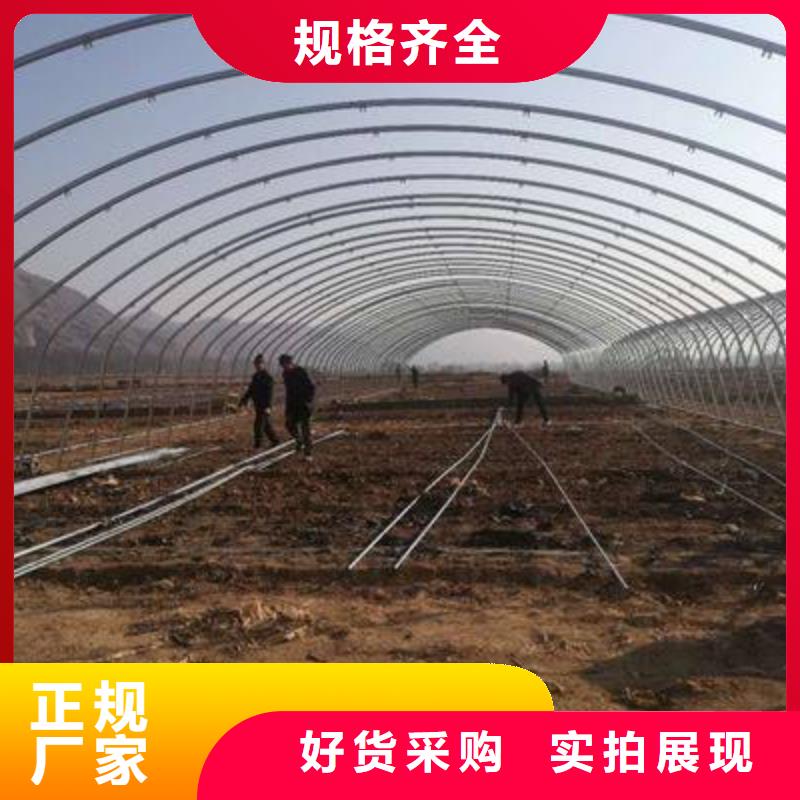 大棚管连栋大棚管从源头保证品质