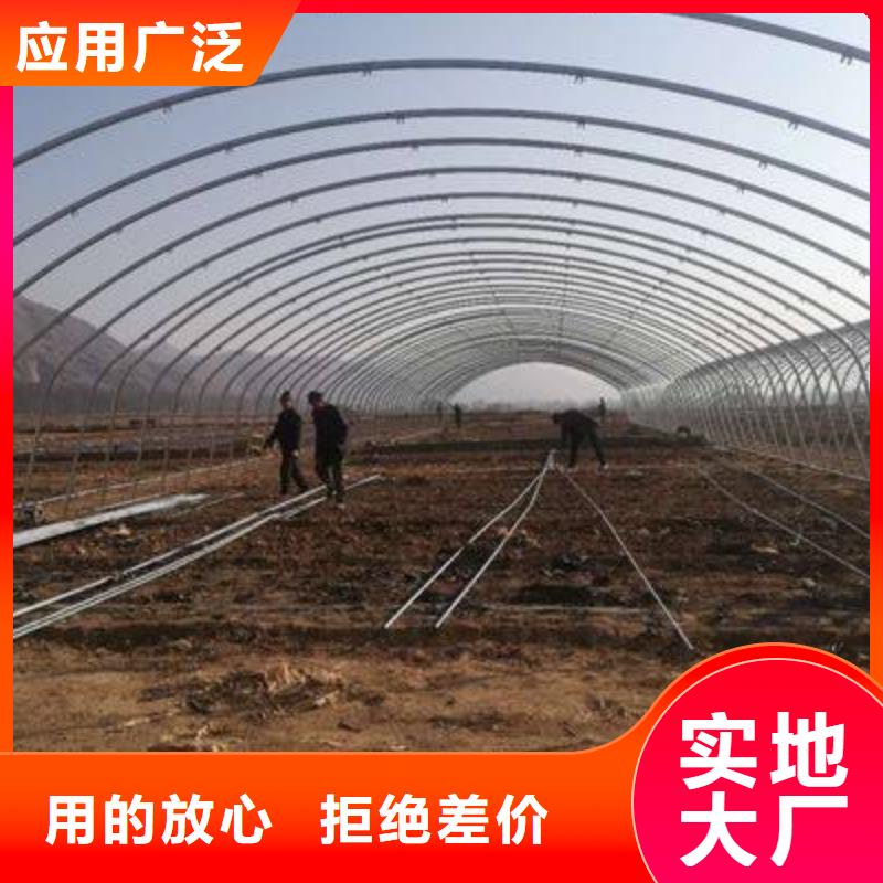 大棚管蔬菜温室大棚管匠心制造