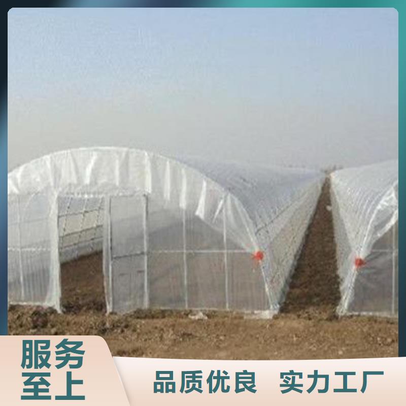 大棚管大棚管大棚管放心购