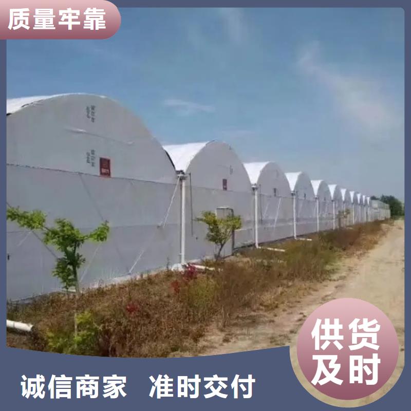 大棚管蔬菜温室大棚管匠心制造