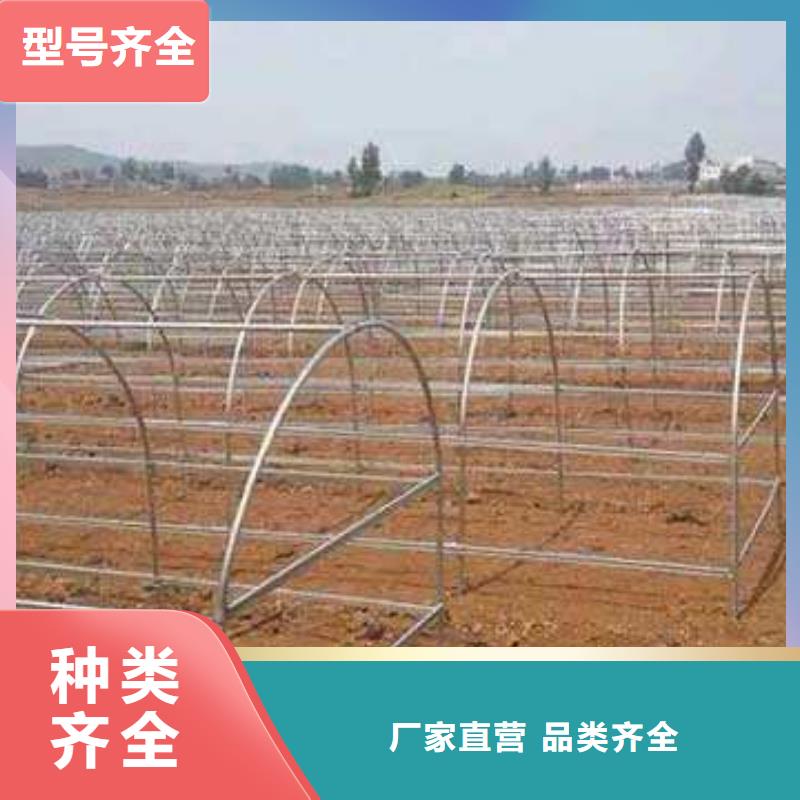 大棚管铝管厂家供应