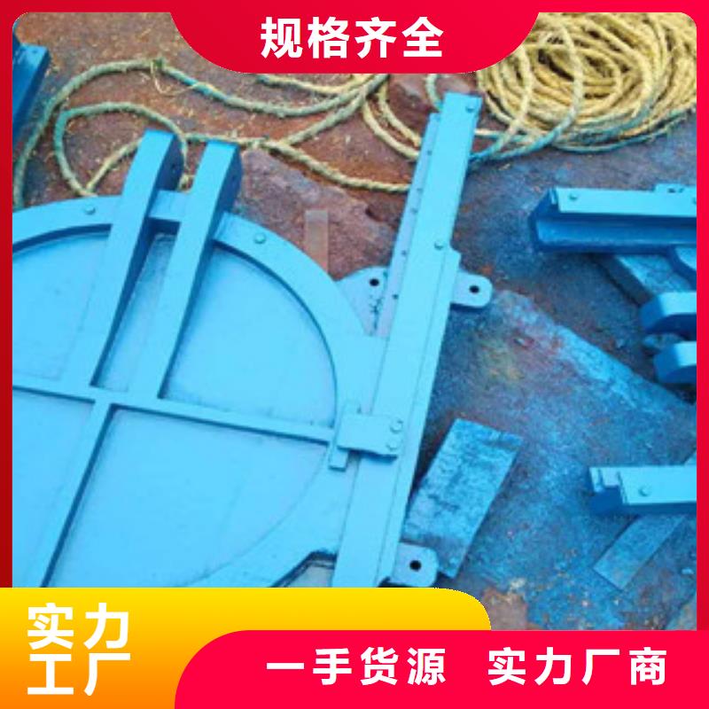 铸铁闸门GLGS高链式格链除污机安心购