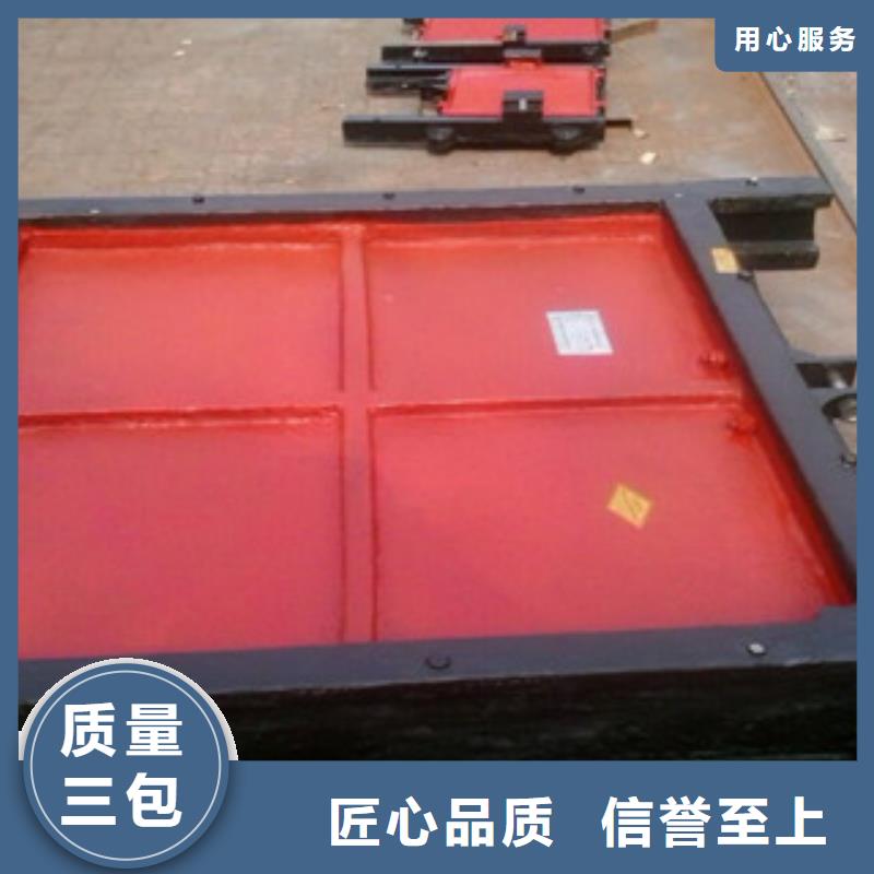 铸铁闸门XGS旋转式格栅除污机专注质量