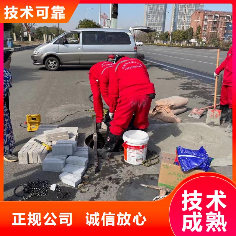 电厂闸门水下维修检查价格-可按需定做