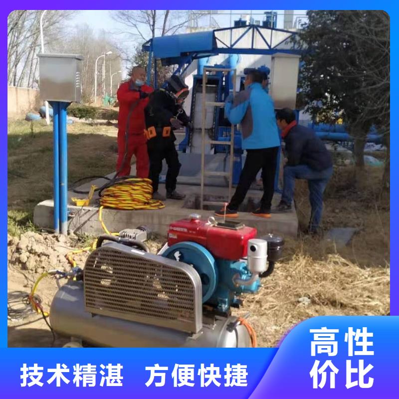 电厂闸门水下维修检查价格-可按需定做