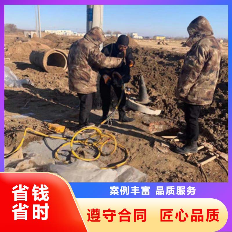 电厂闸门水下维修检查价格-可按需定做