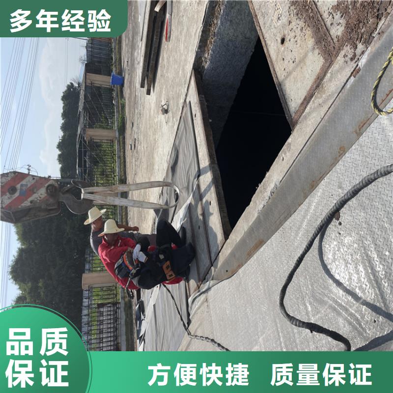 闸门水下堵漏公司附近打捞队
「苏龙潜水队」