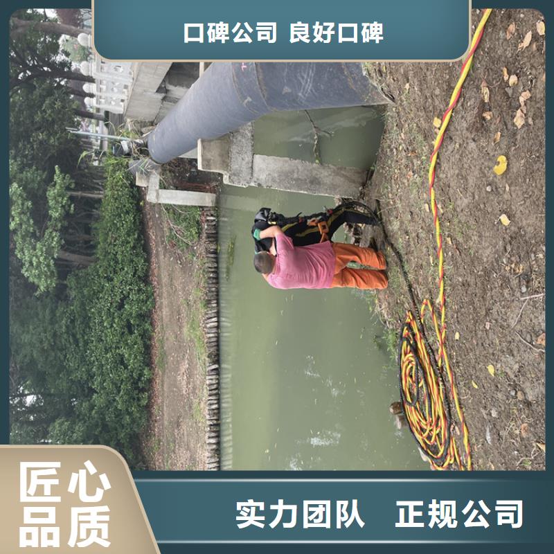 电厂闸门水下维修检查公司专业