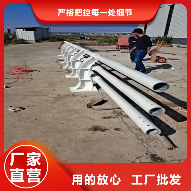 桥梁不锈钢防护栏品类多