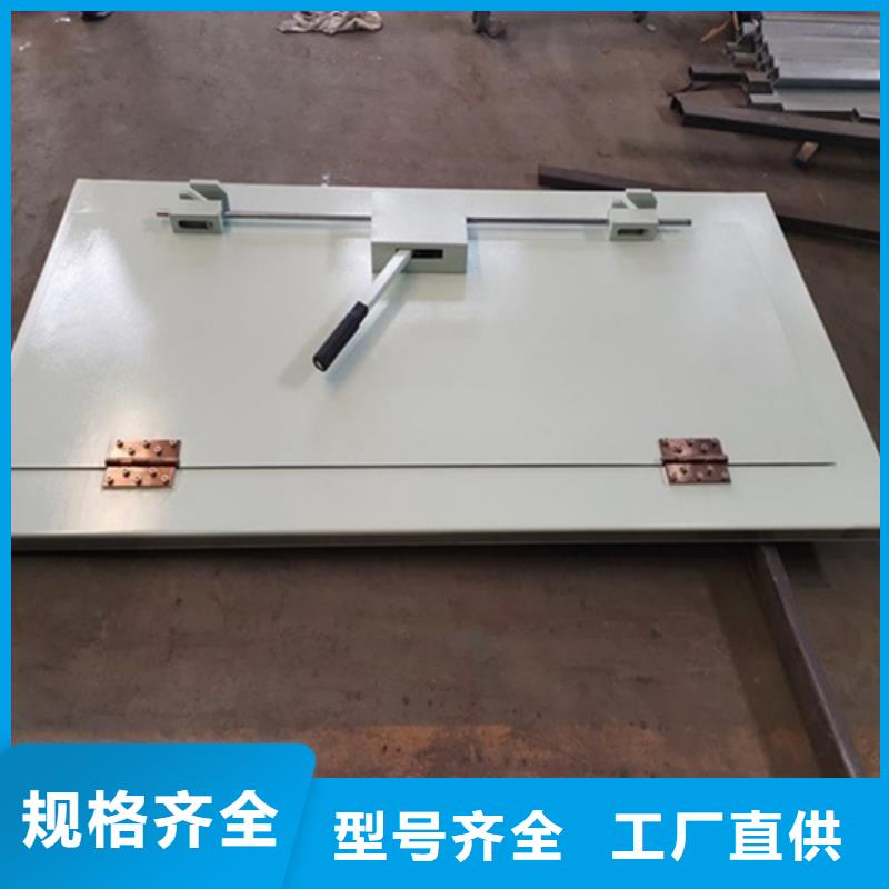 定做地下探伤防护门的公司
