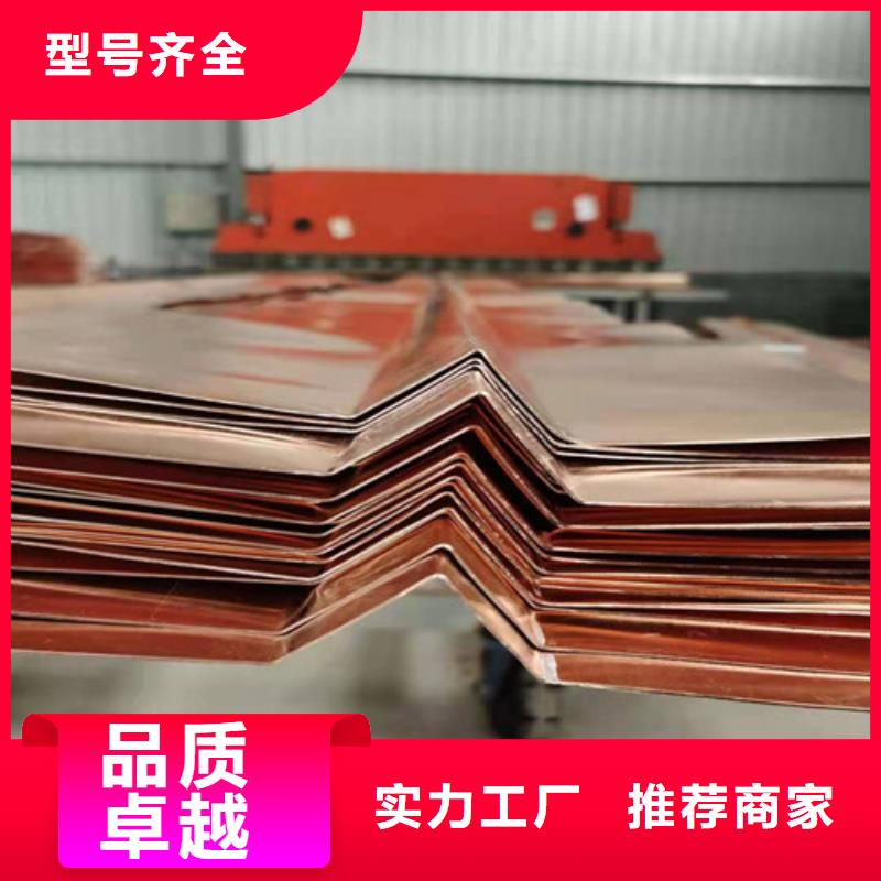 铜排铜片单向塑料土工格栅服务至上