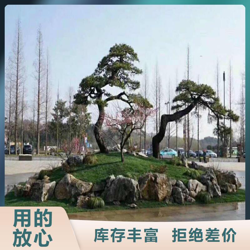 造型松造型池松专业设计
