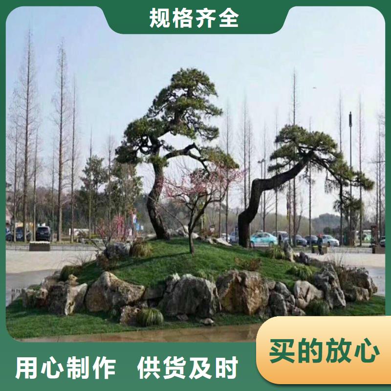 造型池松视频-萝北|绥滨|黑河|牡丹江|大庆|齐齐哈尔|哈尔滨东实造型池松_ 东实园林绿化(鹤岗市分公司)