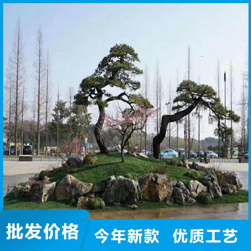 造型松_造型松价格厂家直销供货稳定