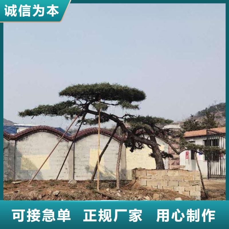 造型松迎客松质保一年