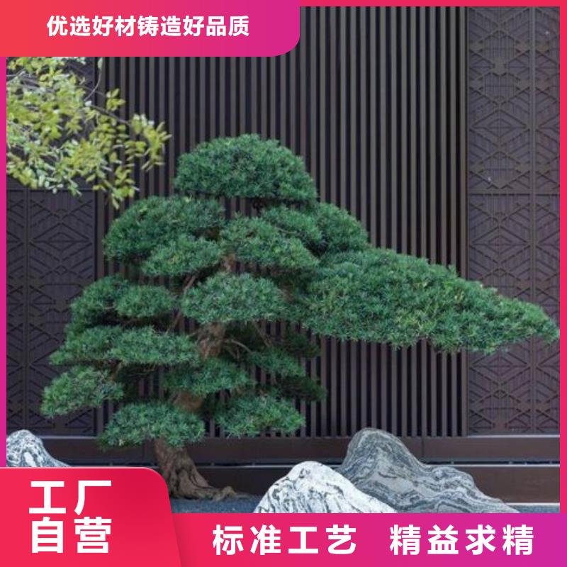 造型松古桩源头工厂