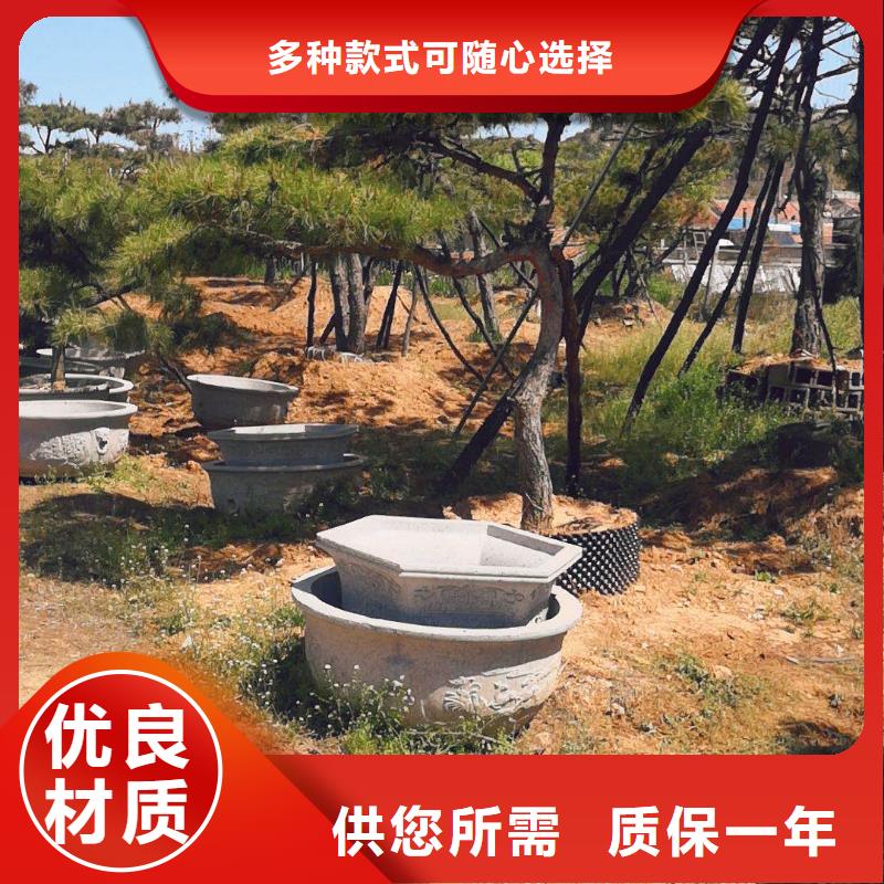 造型松,造型油松用品质说话