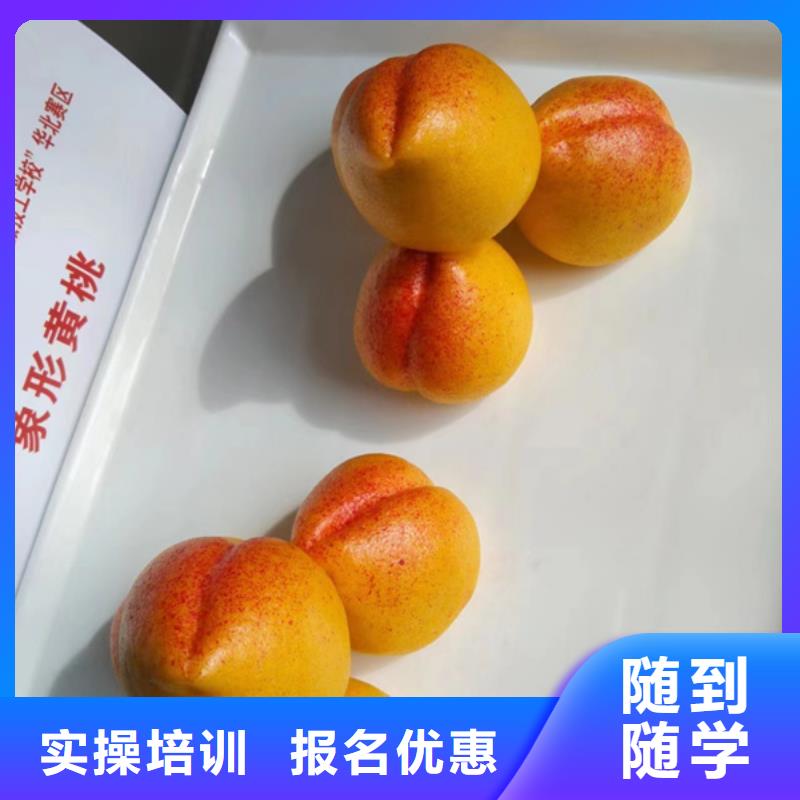 厨师培训中西糕点烘焙培训高薪就业