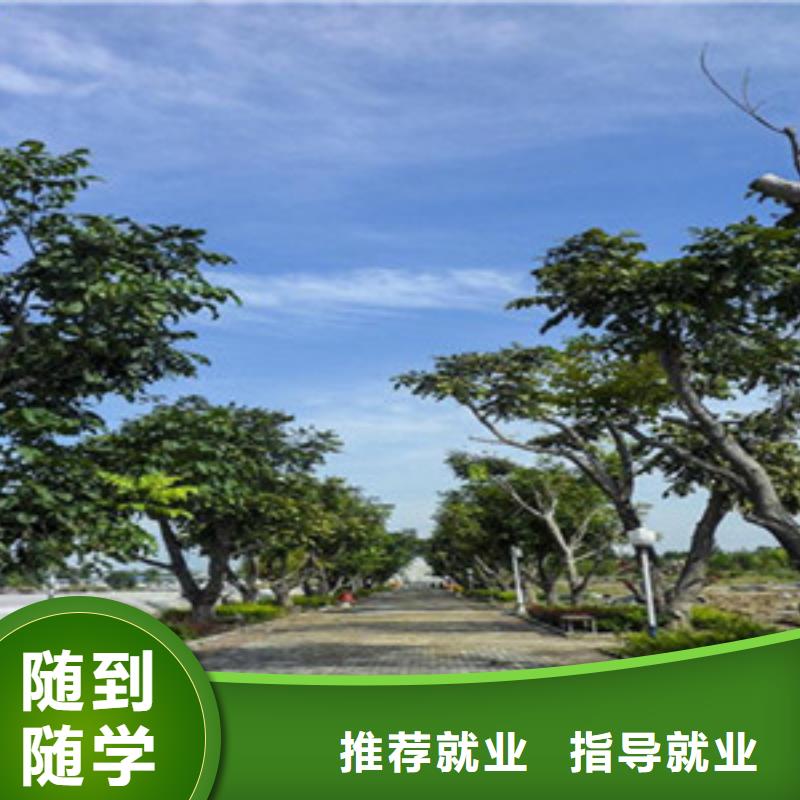 单招培训老师专业