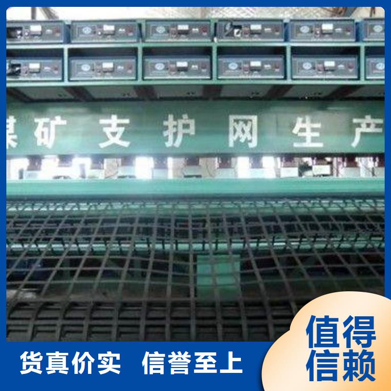 矿用钢塑复合假顶网双向塑料土工格栅源厂直接供货